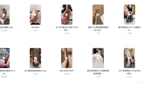 黄月亮10v新合集-百度云在线观看