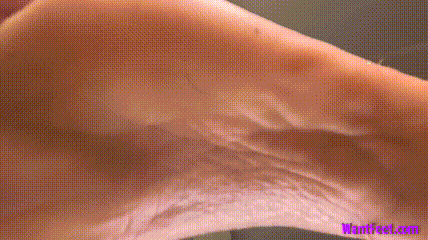 5.gif