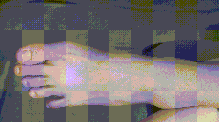 11.gif